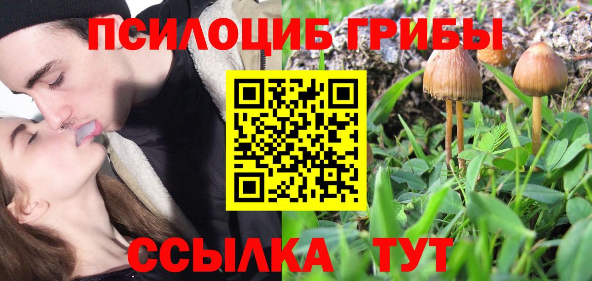Псилоцибиновые грибы мицелий  Галлюциногенные грибы GOLDEN TEACHER  Вход с VPN  Вышний Волочёк 