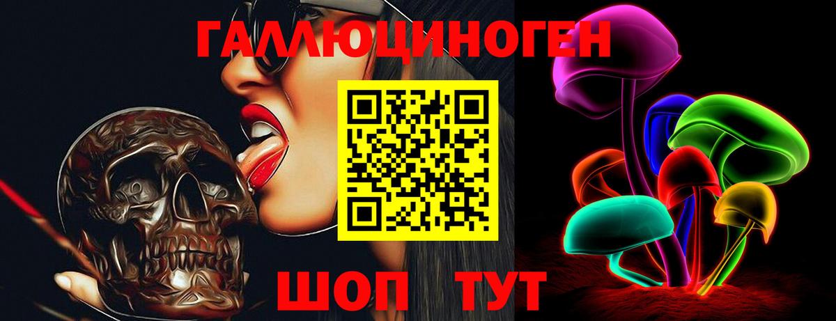 Псилоцибиновые грибы GOLDEN TEACHER Вышний Волочёк